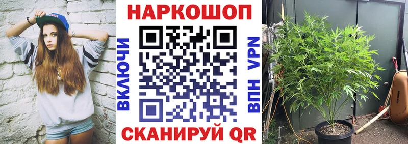 Купить Кизилюрт A-PVP  ГАШ  Конопля  NBOMe  COCAIN  АМФЕТАМИН 