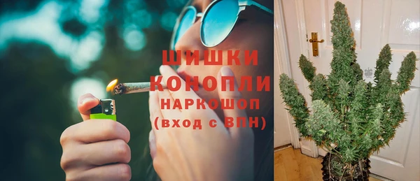 спиды Богданович