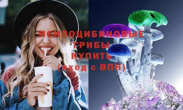 шишки Сосновка