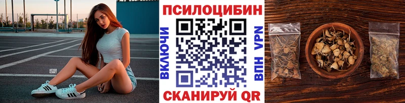 Псилоцибиновые грибы GOLDEN TEACHER  дарнет шоп  Кизилюрт 